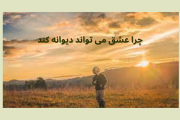 چرا عشق دیوانه می کند؟