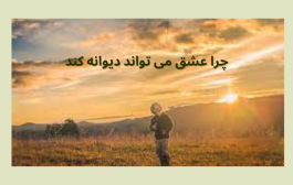 چرا عشق دیوانه می کند؟